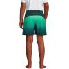 imageLands End Boys Stretch Hydroliner Sport Swim TrunkDeep BalsamWintergreen Ombre