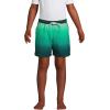 imageLands End Boys Stretch Hydroliner Sport Swim TrunkDeep BalsamWintergreen Ombre