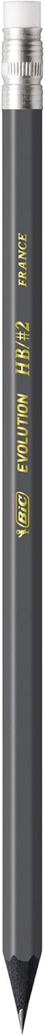 BIC Evolution Cased Pencil 2 Lead Yellow Barrel 24Count PGEYP241BLKGray