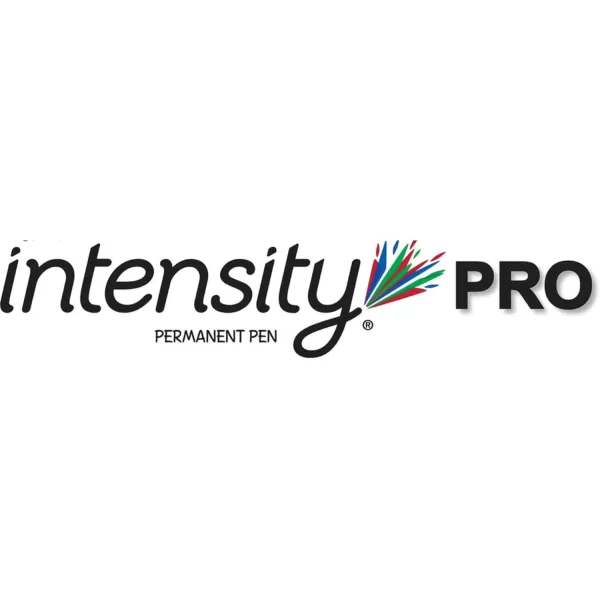 BIC Intensity PRO Permanent Marker Pen Fine Point 05 mm Black Bold ampamp LongLasting Color 12Count