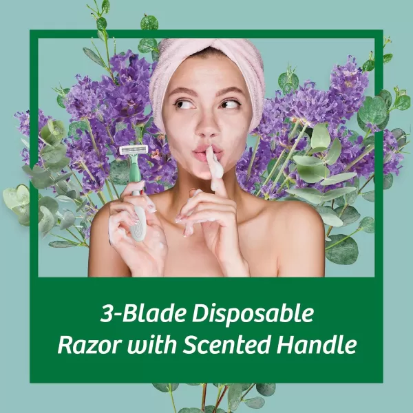 BIC Soleil Escape Womens Disposable 3 Blade Razors Lavender ampamp Eucalyptus Scented Handles Perfect for Bikini Line and Pubic Hair 12PackAssorted
