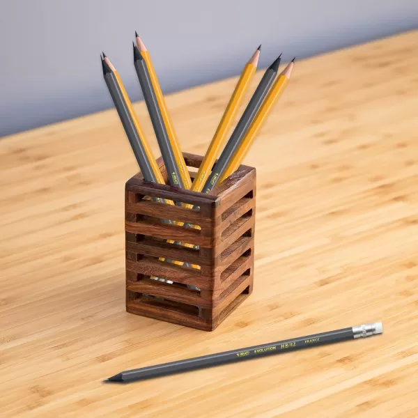 imageBIC Evolution Pencil Black 48 Pack