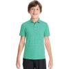 imageDEVOROPA Polo Shirts for Boys Short Sleeve Striped Stretch Youth School Uniform Golf Polo Sports Athletic Casual TopsDark Green Stripe
