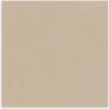 imageAstrodesigns Sticker Paper 12quot x 12quot Fully Adhesive Back White 30 Sheets 91709Kraft