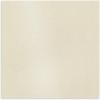imageAstrodesigns Sticker Paper 12quot x 12quot Fully Adhesive Back White 30 Sheets 91709Metallic Champagne Pearl