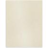 imageAstrodesigns Sticker Paper 12quot x 12quot Fully Adhesive Back White 30 Sheets 91709Metallic Champagne Pearl