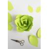 imageAstrobrights Mega Collection Colored Paper Bright Green 625 Sheets 24 lb89 gsm 85quot x 11quot  MORE SHEETS 91622625 Count Pack of 1