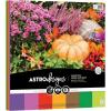 imageAstrodesigns Crafting Cardstock 12quot x 12quot 65 lb176 gsm 7Color Fall Assortment 84 Sheets 91822