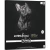 imageAstrodesigns Crafting Cardstock 12quot x 12quot 65 lb176 gsm Very Black 60 Sheets 9152312 x 12 inches