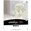 imageAstrodesigns Crafting Cardstock 12quot x 12quot 65 lb176 gsm Bright White 70 Sheets 9152212 x 12 Pack of 6