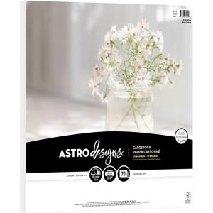 imageAstrodesigns Crafting Cardstock 12quot x 12quot 65 lb176 gsm Bright White 70 Sheets 9152212 x 12 Pack of 6