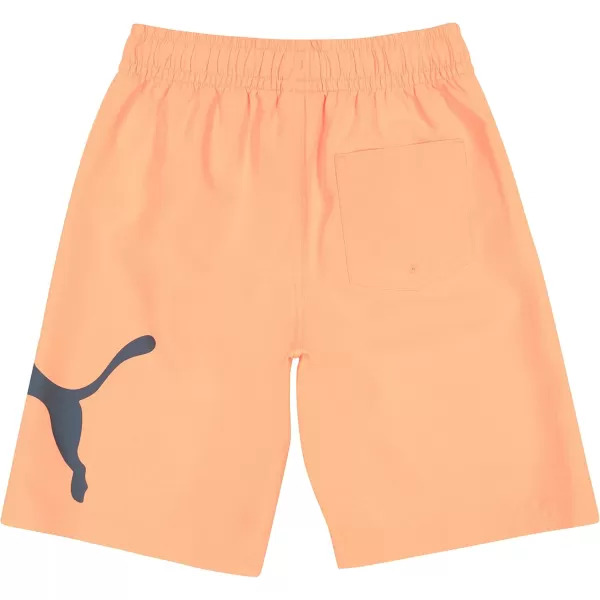 imagePUMA Boys Big Cat Swim TrunksUltra Orange