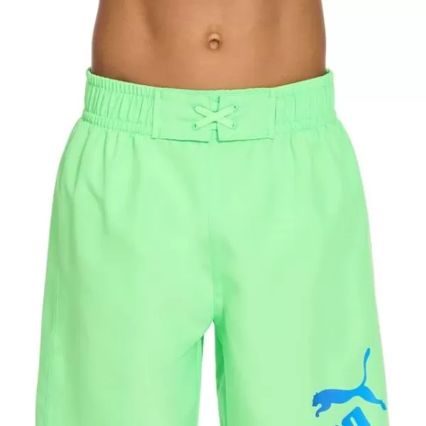 imagePUMA Boys Gradient Number One Logo Swim TrunksElektro Green