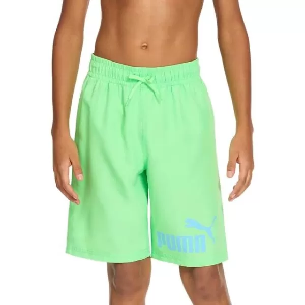 imagePUMA Boys Number One Logo Swim TrunksElektro Green