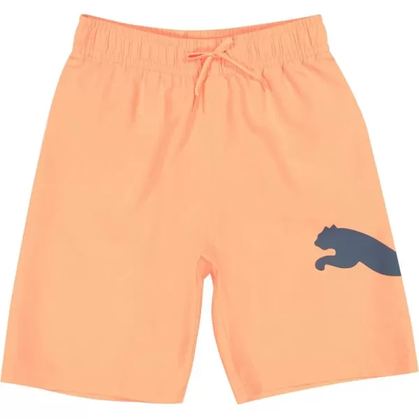 imagePUMA Boys Big Cat Swim TrunksUltra Orange