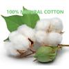 imageCotton Swabs with Wooden SticksBiodegradable Cotton Buds 2000pcs2000pcs