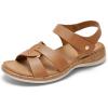 Classic Brown