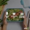 imageEllo Duraglass Mixed Meal Prep Sets LeakProof Glass Food Storage Containers with Silicone Sleeves and Airtight BPAFree Lids Dishwasher Microwave and Freezer SafeSpring Mixed Set
