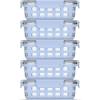 Halogen Blue with Sleeve