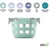 imageEllo Duraglass Meal Prep Container Glass Food Storage Container with Silicone Sleeve and Airtight BPAFree Plastic Lid Dishwasher Microwave and Freezer Safe2 Cup Yucca