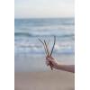 imageEllo Impact Stainless Steel Reusable Straws with Cleaning Brush 4 Piece Metallics