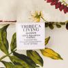 imageTribeca Living Empire 12Piece Cotton Bed in a Bag with Deep Pocket Sheet SetMaui