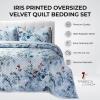 imagePariza Printed Oversized Velvet UltraSoft Luxury Quilt Set with Shams Wrinkle ampamp Fade Resitant AllSeason Diamond Stitching Durable and Fine Quality Queen MulticolorIris Multicolor