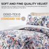 imagePariza Printed Oversized Velvet UltraSoft Luxury Quilt Set with Shams Wrinkle ampamp Fade Resitant AllSeason Diamond Stitching Durable and Fine Quality Queen MulticolorFloris Multicolor