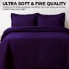 imageTribeca Living Brisbane Oversized Twin Quilt Bedding Set Solid 2Piece Quilted Bedspread Coverlet with Matching Pillow Sham Super Soft Fade and Wrinkle Resistant Quilts Silver GreyFig