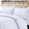 imageTribeca Living Brisbane Oversized Twin Quilt Bedding Set Solid 2Piece Quilted Bedspread Coverlet with Matching Pillow Sham Super Soft Fade and Wrinkle Resistant Quilts Silver GreyWhite