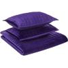 imageTribeca Living Velvet King Quilt Set ThreePiece Box Stitch Bedding Includes Oversized Quilt ampamp Two Shams 260GSM Super Soft Velvet TaupePurple