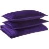 imageTribeca Living Velvet King Quilt Set ThreePiece Box Stitch Bedding Includes Oversized Quilt ampamp Two Shams 260GSM Super Soft Velvet TaupePurple