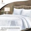 imageTribeca Living Velvet King Quilt Set ThreePiece Box Stitch Bedding Includes Oversized Quilt ampamp Two Shams 260GSM Super Soft Velvet TaupeWhite