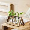 imageMarbrasse Plant Propagation Stations with Wooden Stand Desktop Plant Terrarium Holder Bulb Vase Glass Vase Container with Metal Swivel Holder for Hydroponics of Home Garden Office Decor Lover Gifts3 Bulbs Vase