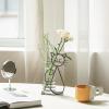 imageMarbrasse Desktop Glass Planter Hydroponics VasePlanter Bulb Vase with Holder for Home DecorationModern Creative Cat Plant Terrarium Stand Scindapsus Container Lovely CatA101shuipei003