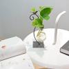 imageMarbrasse Desktop Glass Vase Creative Bird with Heart Planter Vase Glass Vases for Plants Plant Terrarium Stand for Modern Office Home DecorationsBulb Vase