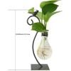 imageMarbrasse Desktop Glass Vase Creative Bird with Heart Planter Vase Glass Vases for Plants Plant Terrarium Stand for Modern Office Home DecorationsBulb Vase