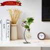 imageMarbrasse Desktop Glass Vase Creative Bird with Heart Planter Vase Glass Vases for Plants Plant Terrarium Stand for Modern Office Home DecorationsBulb Vase
