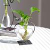imageMarbrasse Desktop Glass Vase Creative Bird with Heart Planter Vase Glass Vases for Plants Plant Terrarium Stand for Modern Office Home DecorationsHeartshaped Glass Holder