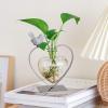imageMarbrasse Desktop Glass Vase Creative Bird with Heart Planter Vase Glass Vases for Plants Plant Terrarium Stand for Modern Office Home DecorationsHeartshaped Glass Holder