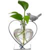 imageMarbrasse Desktop Glass Vase Creative Bird with Heart Planter Vase Glass Vases for Plants Plant Terrarium Stand for Modern Office Home DecorationsHeartshaped Glass Holder