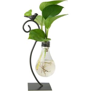 imageMarbrasse Desktop Glass Vase Creative Bird with Heart Planter Vase Glass Vases for Plants Plant Terrarium Stand for Modern Office Home DecorationsBulb Vase