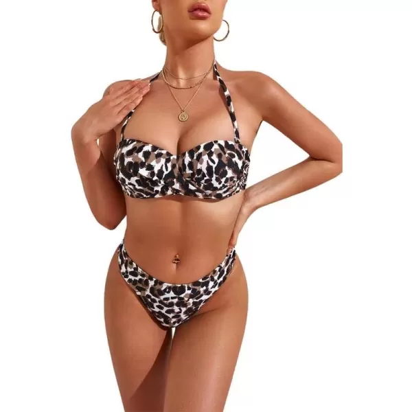 A Leopard