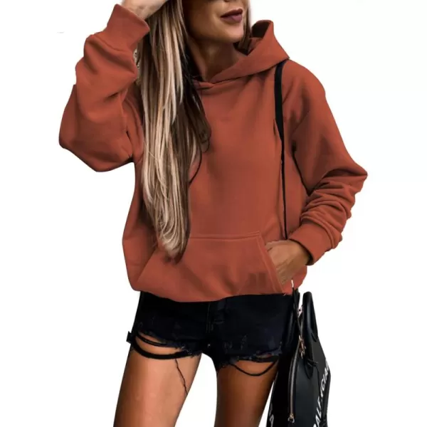 SHEWIN Women's Casual Hoodies Long Sleeve Solid Lightweight Pullover Tops Loose Sweatshirt with Pocket