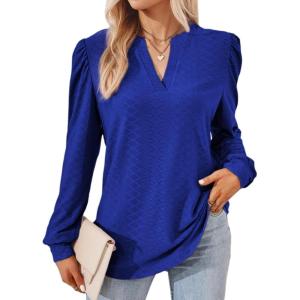 imageDokotoo Womens Spring Fashion 2025 Long Sleeve Tops Dressy Casual Blouses Trendy V Neck Puff Sleeve Shirts Business OutfitsBluing