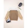 imageDokotoo Womens Casual Long Sleeve Sweaters Loose Crewneck Knit Solid Pullover Sweater Jumper TopsColorblock Brown