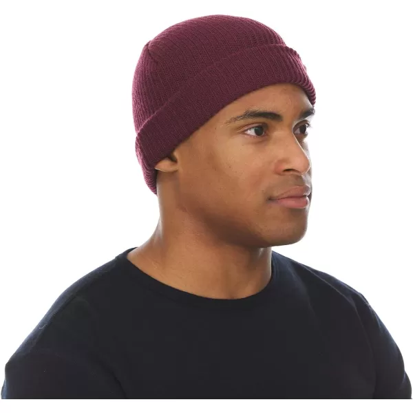 Minus33 Merino Wool Everyday Knit Wool BeanieBurgundy