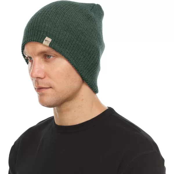 Minus33 Merino Wool Everyday Knit Wool BeanieForest Green