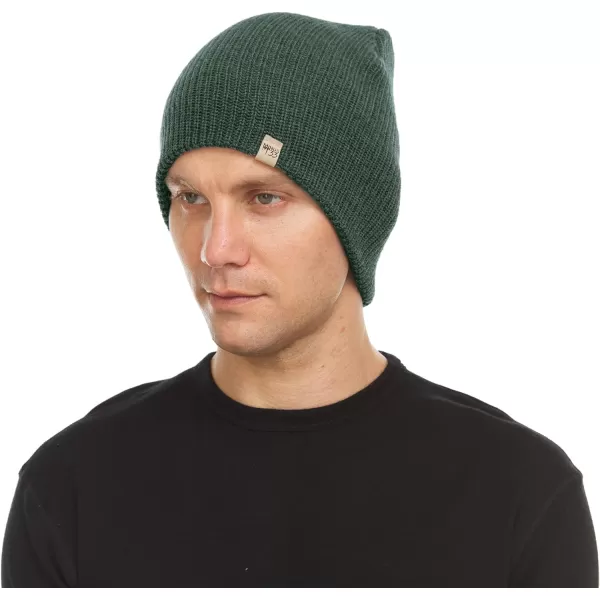 Minus33 Merino Wool Everyday Knit Wool BeanieForest Green