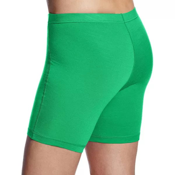 Minus33 Merino Wool Acadian Mens Lightweight Boxer Brief  No Itch Renewable FabricZephyr Green